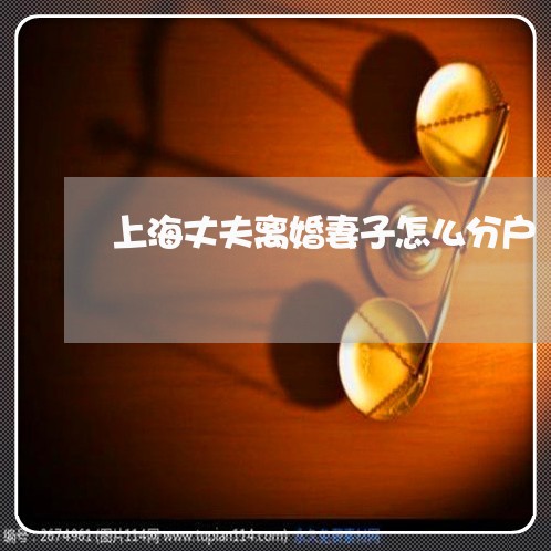 上海丈夫离婚妻子怎么分户/2023032058795