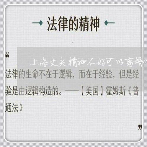 上海丈夫精神不好可以离婚吗/2023041401605