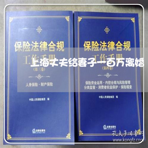上海丈夫给妻子一百万离婚/2023032073927