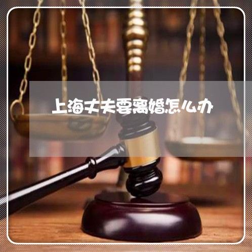 上海丈夫要离婚怎么办/2023021369692