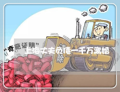上海丈夫负债一千万离婚/2023030107036