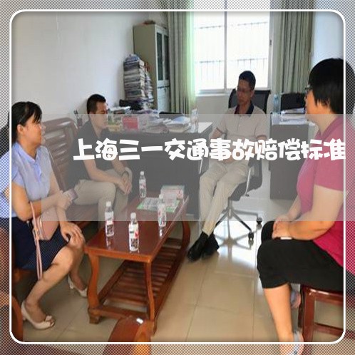 上海三一交通事故赔偿标准/2023032024937 上海三一交通事故赔偿标准/2023032024937
