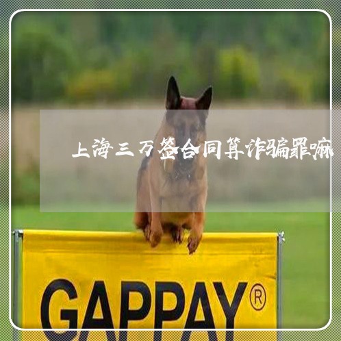 上海三万签合同算诈骗罪嘛/2023032025947