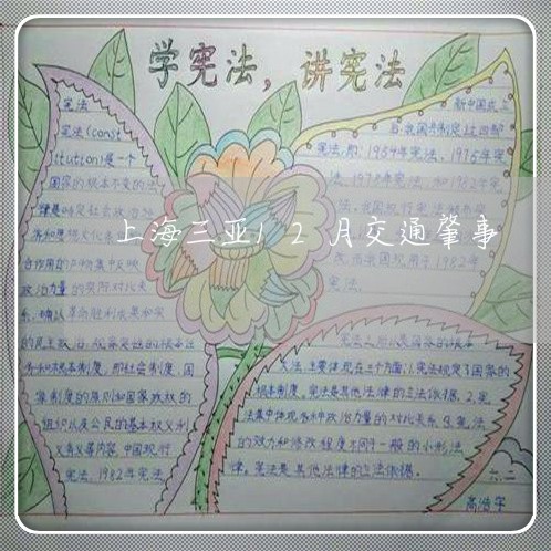 上海三亚12月交通肇事/2023030105825 上海三亚12月交通肇事/2023030105825