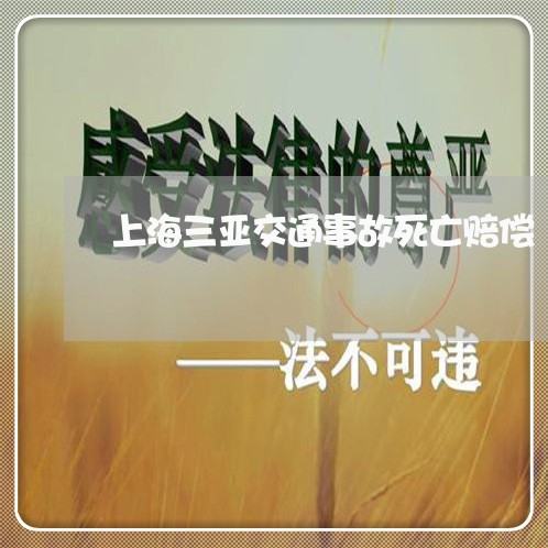 上海三亚交通事故死亡赔偿/2023032083705