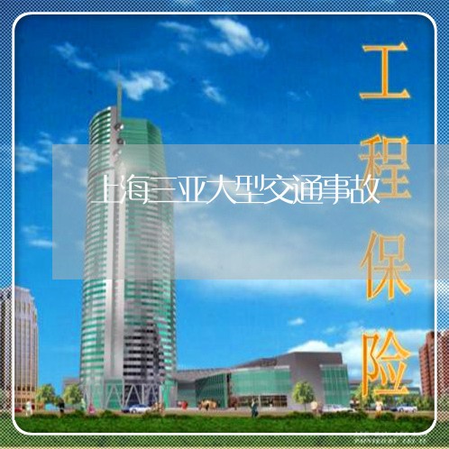 上海三亚大型交通事故/2023021428050 上海三亚大型交通事故/2023021428050
