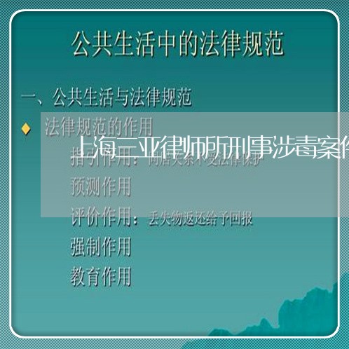 上海三亚律师所刑事涉毒案件/2023041472705