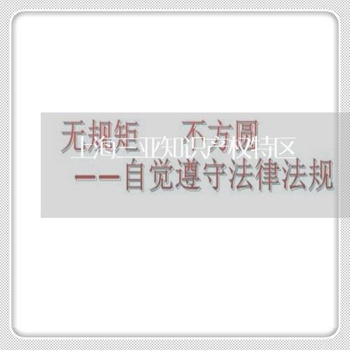 上海三亚知识产权特区/2023021459483 上海三亚知识产权特区/2023021459483