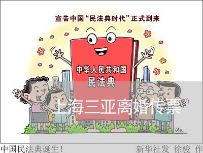 上海三亚离婚传票/2023032462494