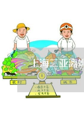 上海三亚离婚要预约吗/2023040930894 上海三亚离婚要预约吗/2023040930894