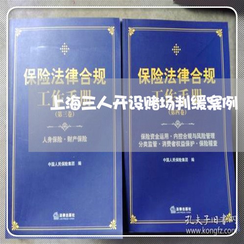 上海三人开设赌场判缓案例/2023032082916 上海三人开设赌场判缓案例/2023032082916