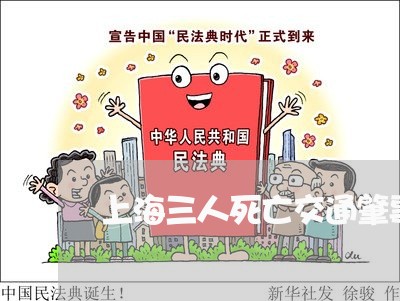 上海三人死亡交通肇事逃逸/2023032039474 上海三人死亡交通肇事逃逸/2023032039474