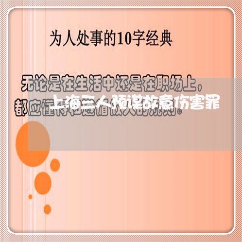 上海三人预谋故意伤害罪/2023030138471 上海三人预谋故意伤害罪/2023030138471