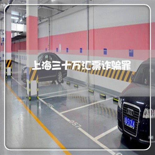 上海三十万汇票诈骗罪/2023021485168 上海三十万汇票诈骗罪/2023021485168