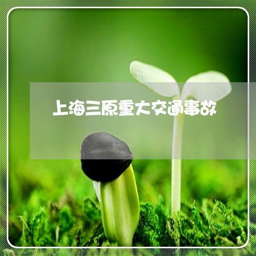 上海三原重大交通事故/2023021417360 上海三原重大交通事故/2023021417360