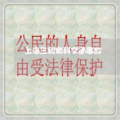上海三和奥科交通事故/2023040905906