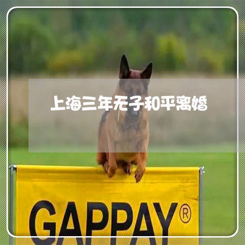 上海三年无子和平离婚/2023021450361 上海三年无子和平离婚/2023021450361