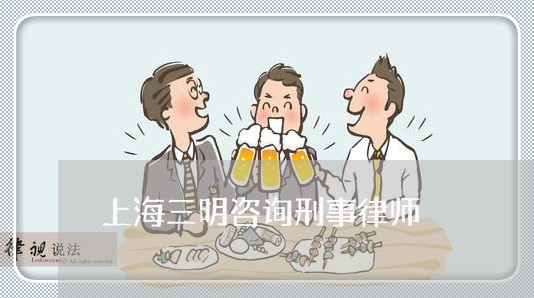 上海三明咨询刑事律师/2023021459371 上海三明咨询刑事律师/2023021459371