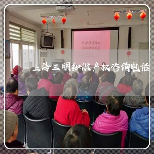 上海三明知识产权咨询电话/2023032005026