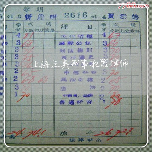 上海三类刑事犯罪律师/2023040932593