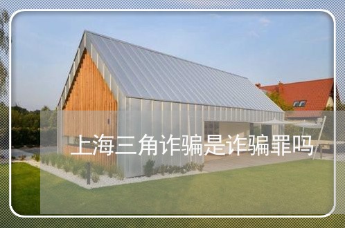 上海三角诈骗是诈骗罪吗/2023030125048