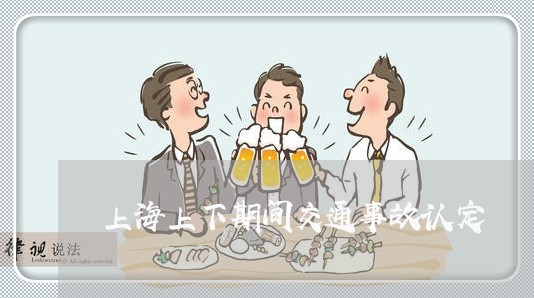 上海上下期间交通事故认定/2023032035271 上海上下期间交通事故认定/2023032035271