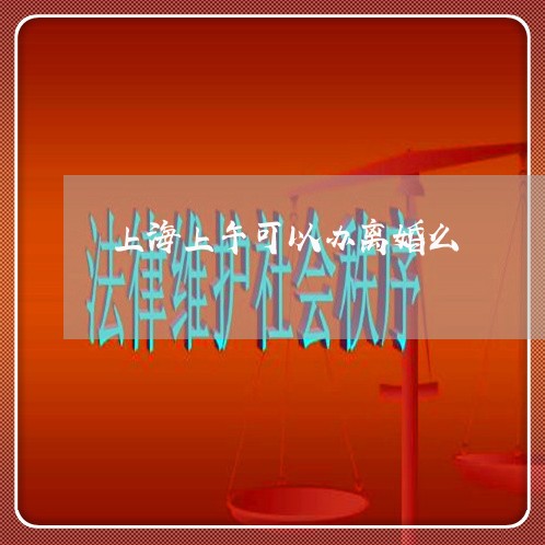 上海上午可以办离婚么/2023021470393 上海上午可以办离婚么/2023021470393