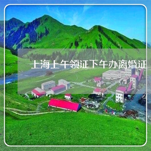 上海上午领证下午办离婚证/2023032061493