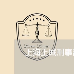 上海上城刑事辩护律所哪个好/2023041470704