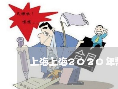 上海上海2020年帮信罪/2023032040481
