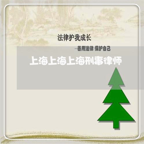 上海上海上海刑事律师/2023040947150