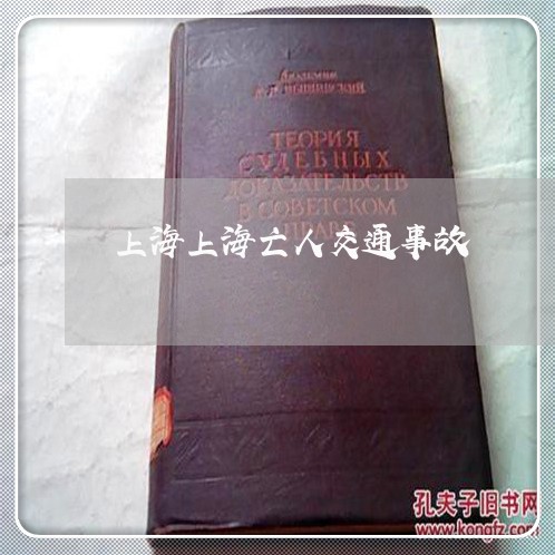上海上海亡人交通事故/2023021458369 上海上海亡人交通事故/2023021458369