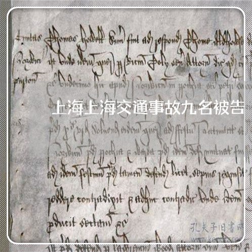 上海上海交通事故九名被告/2023032084138 上海上海交通事故九名被告/2023032084138