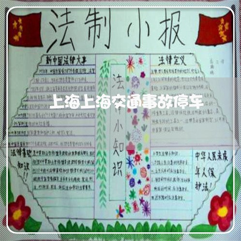 上海上海交通事故停车/2023021448481 上海上海交通事故停车/2023021448481