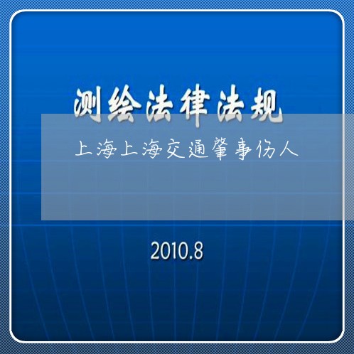上海上海交通肇事伤人/2023021483049 上海上海交通肇事伤人/2023021483049