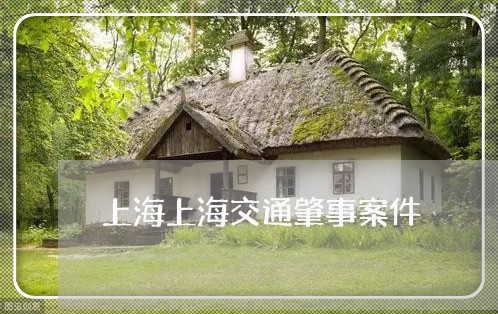上海上海交通肇事案件/2023021413957 上海上海交通肇事案件/2023021413957