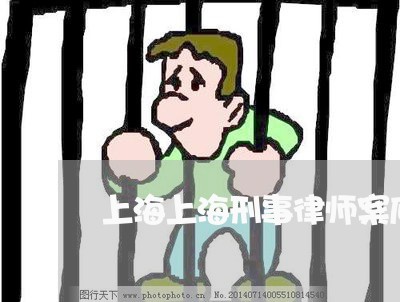 上海上海刑事律师案底/2023040982814