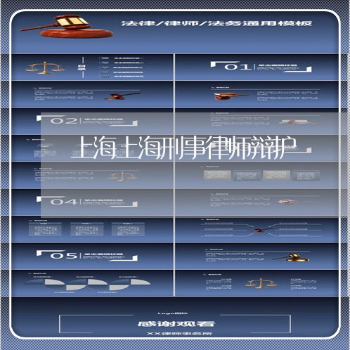 上海上海刑事律师辩护/2023021403937 上海上海刑事律师辩护/2023021403937