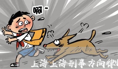 上海上海刑事方向律师网站/2023032094047 上海上海刑事方向律师网站/2023032094047