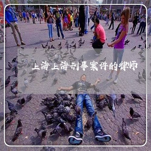 上海上海刑事案件的律师/2023030285148