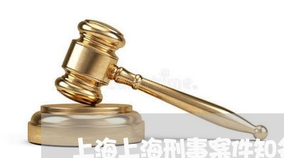 上海上海刑事案件知名律师/2023032027060 上海上海刑事案件知名律师/2023032027060