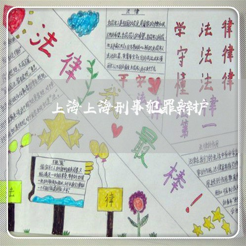 上海上海刑事犯罪辩护/2023021470371 上海上海刑事犯罪辩护/2023021470371