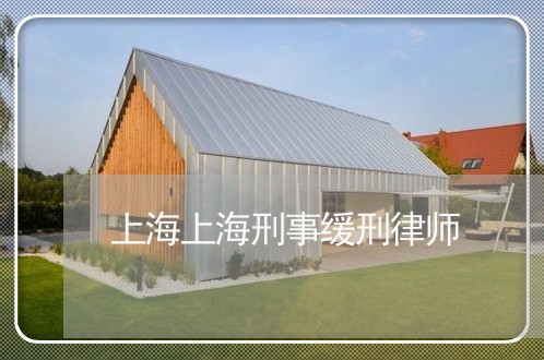 上海上海刑事缓刑律师/2023021440783 上海上海刑事缓刑律师/2023021440783
