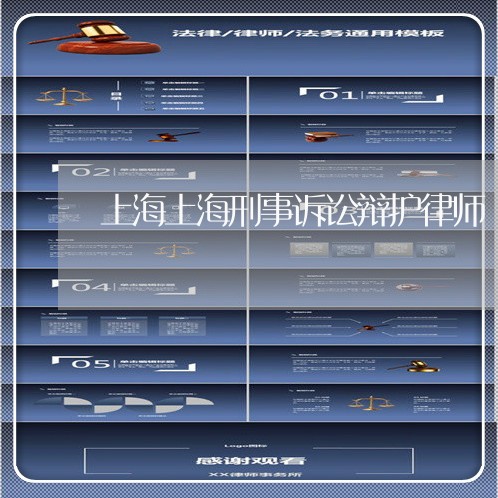 上海上海刑事诉讼辩护律师/2023032004179 上海上海刑事诉讼辩护律师/2023032004179