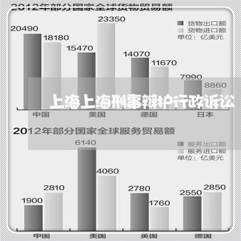 上海上海刑事辩护行政诉讼/2023032015826 上海上海刑事辩护行政诉讼/2023032015826