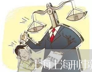 上海上海刑事辩护诉讼律师/2023032014835 上海上海刑事辩护诉讼律师/2023032014835