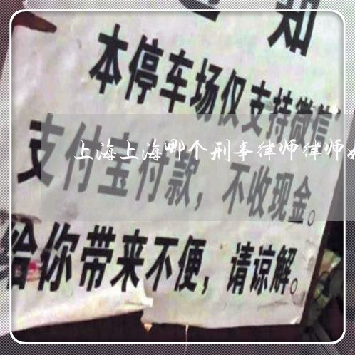 上海上海哪个刑事律师律师好/2023041438480