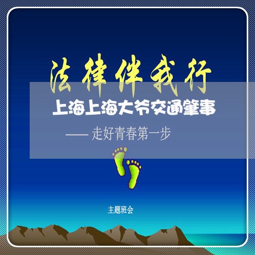 上海上海大爷交通肇事/2023021383714 上海上海大爷交通肇事/2023021383714