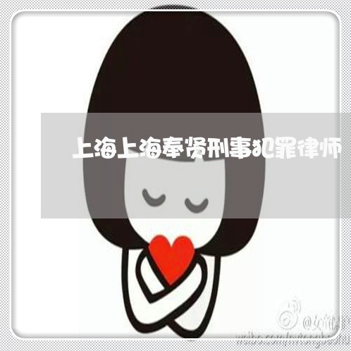 上海上海奉贤刑事犯罪律师/2023032170494 上海上海奉贤刑事犯罪律师/2023032170494