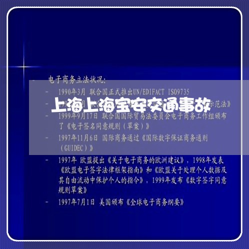 上海上海宝安交通事故/2023021391702 上海上海宝安交通事故/2023021391702